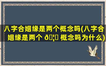 八字合姻缘是两个概念吗(八字合姻缘是两个 🦊 概念吗为什么)